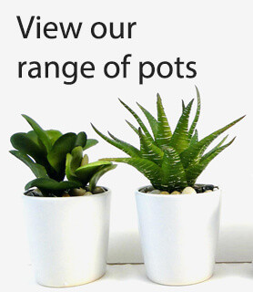 View Our Pots View Our Pots